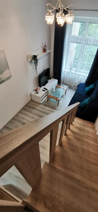 New Cosy Apartment